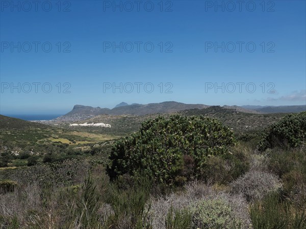 Le Cap, Kommetjie