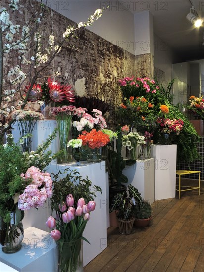 Boutique de fleurs "Debeaulieu"