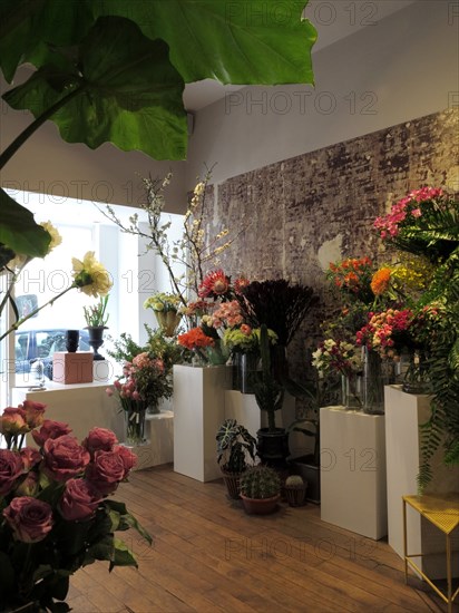 French flower shop 'Debeaulieu'