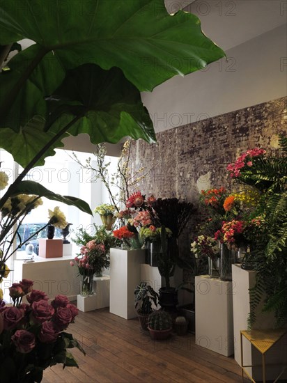 Boutique de fleurs "Debeaulieu"