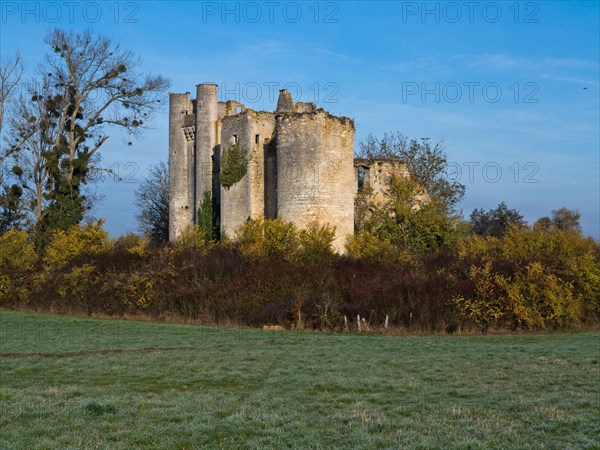 Chateau de Passy-les-Tours a Varennes-les-Narcy