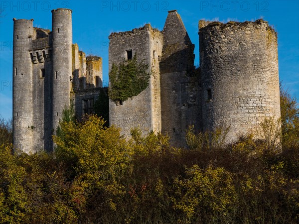 Chateau de Passy-les-Tours a Varennes-les-Narcy