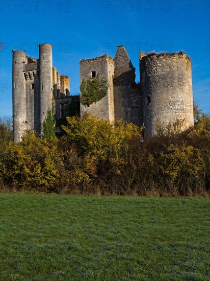 Chateau de Passy-les-Tours a Varennes-les-Narcy