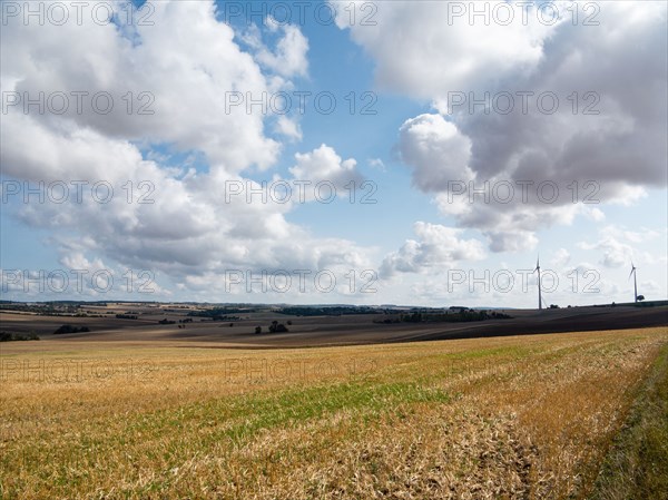 Champs près de Villemoison