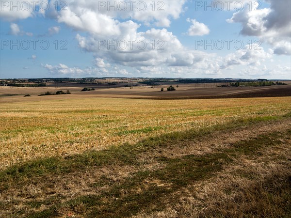 Fields near Villemoison