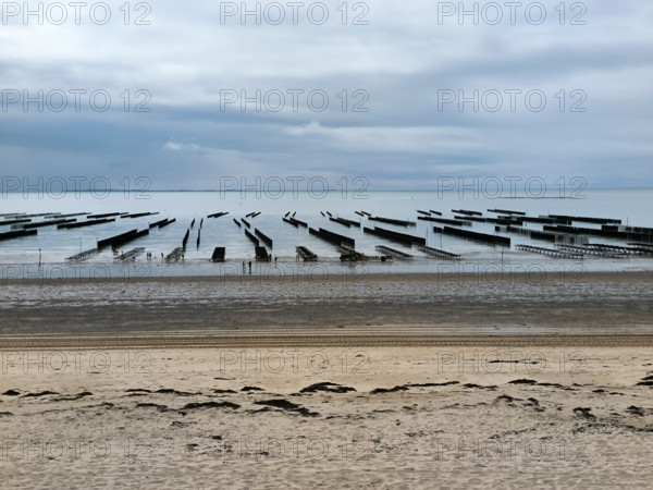 Parcs à huîtres et bouchots à moules en Normandie