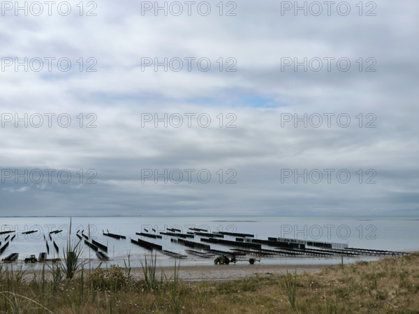 Parcs à huîtres et bouchots à moules en Normandie