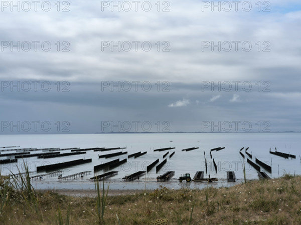 Parcs à huîtres et bouchots à moules en Normandie
