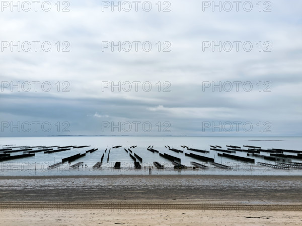 Parcs à huîtres et bouchots à moules en Normandie