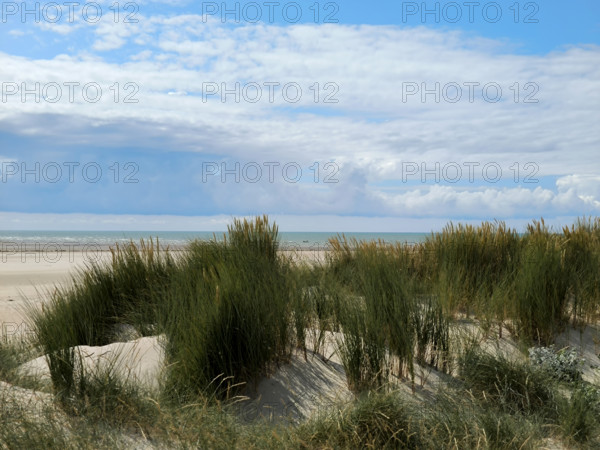 Le Havre de la Vanlée, en Normandie