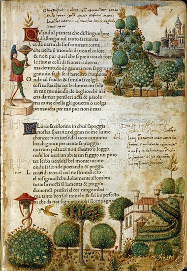 Petrarca, Canzoniere e Trionfi Manuscript