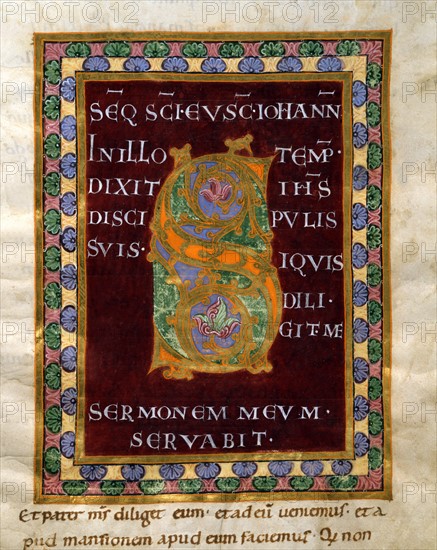 Gospel book from the Reichenau school, Initial letter "S"