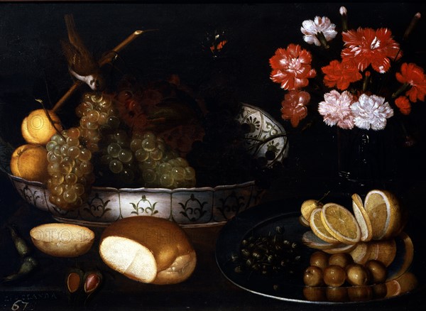 Codino, Nature morte