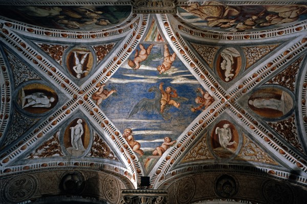 Loggia vault of the Buonconsiglio castle in Trento (Italy)