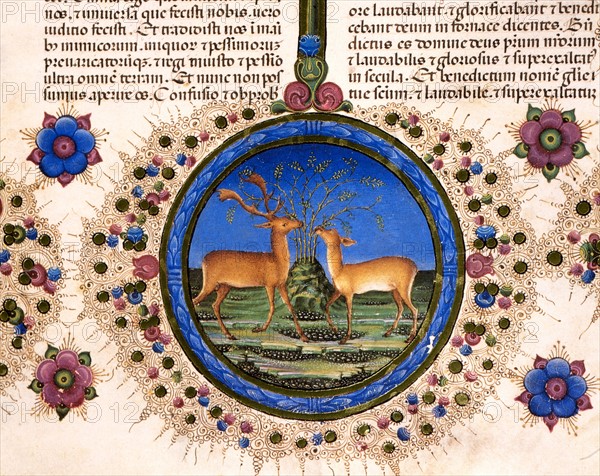 Bible de Borso d'Este, Couple de cerfs