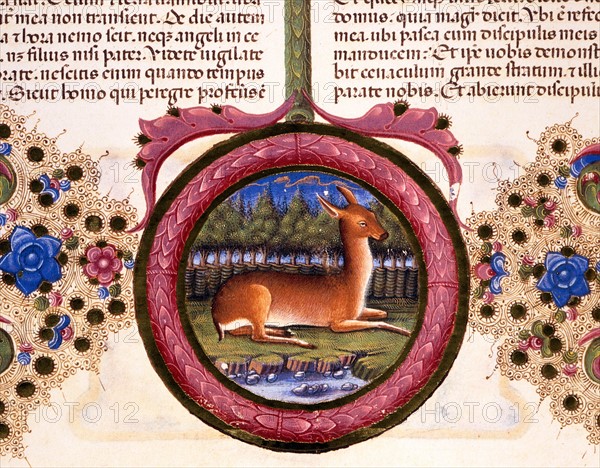 Bible de Borso d'Este, Biche dans un bois