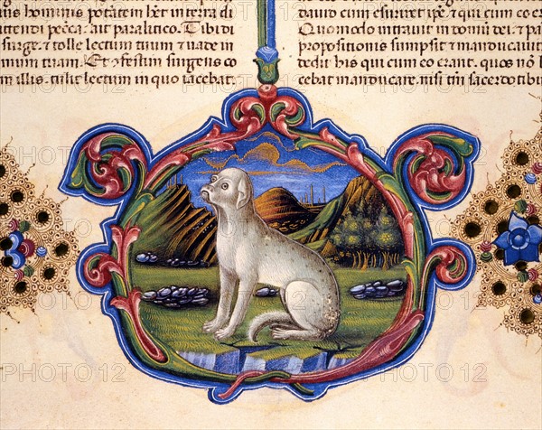 Bible de Borso d'Este, Chien dans un paysage