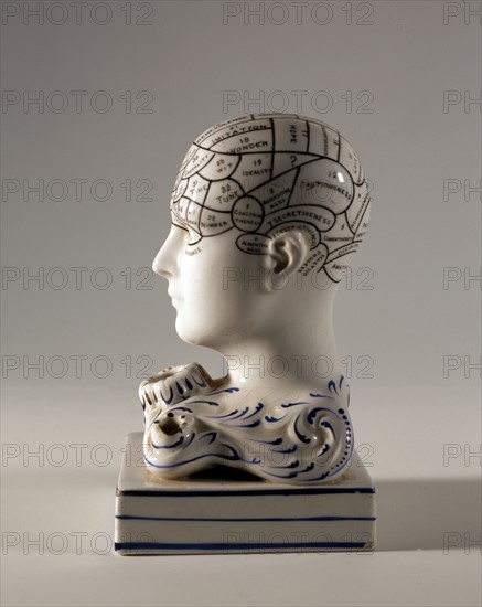 "Phrenology" ink pot