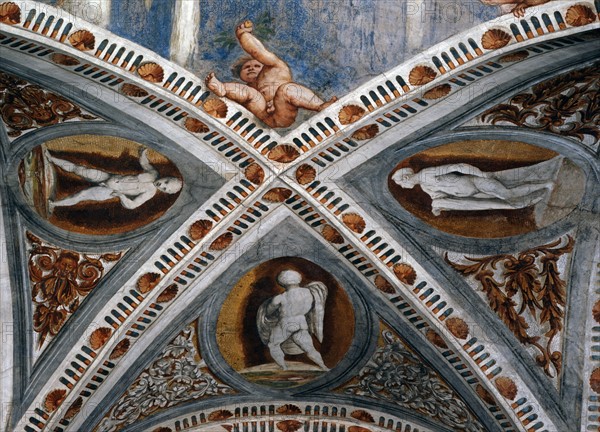 Vault from the loggia of the Buonconsiglio Castle, Trento (Italy)