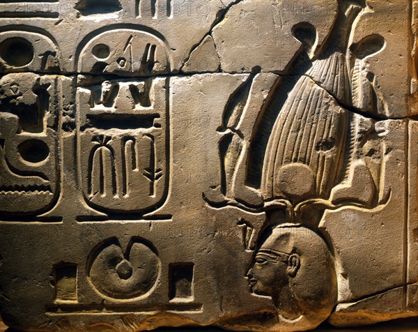 Relief fragment depicting Ramses II and his cartouche