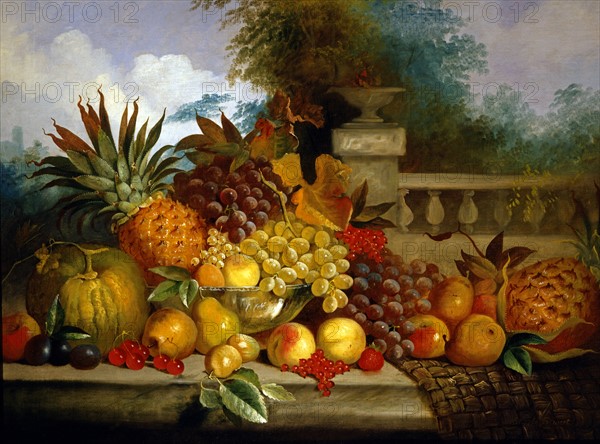 Stuart, Nature morte dans un jardin