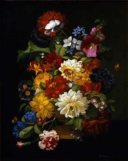 Krause, Fleurs