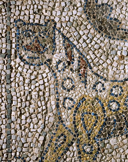 Mosaïque : La panthère tachetée (détail)