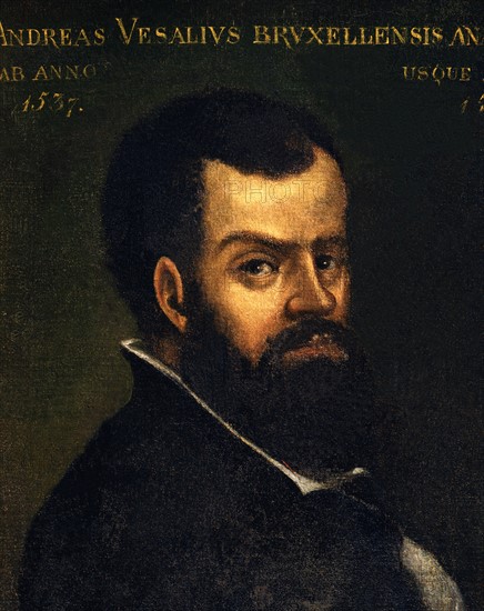 Portrait d'Andrea Vesalio