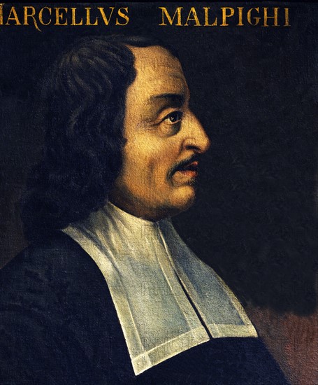 Portrait de Marcello Malpighi