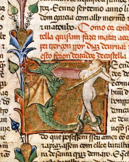 Fight between man and dragon