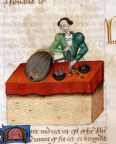 "Tractatus De Herbis", The seller of "Nux Medica" nutmeg