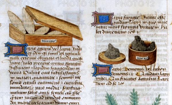 "Tractatus De Herbis", Use and properties of minerals in pharmacies (Lapis Demonis)