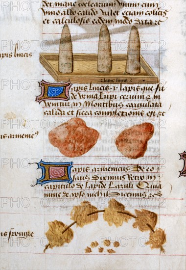 "Tractatus De Herbis", Use and properties of minerals in pharmacies