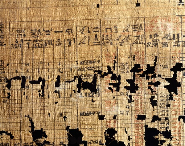Papyrus de comptabilité du temple funéraire du pharaon Néferirkarê Kakaï à Abousir (détail)