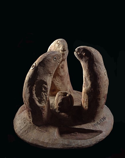 Group of three snakes around a container in which a small snake drinks