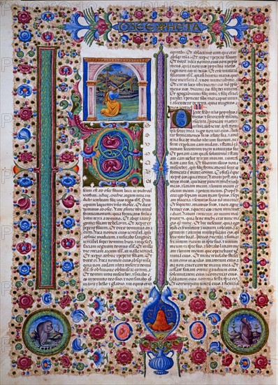 Crivelli, The book of the prophet Hosea