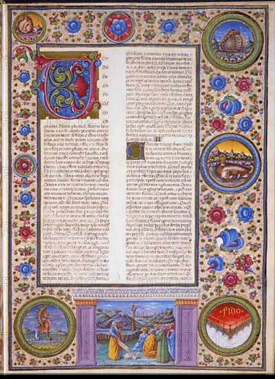 Crivelli, The Book of Prophet Joel.