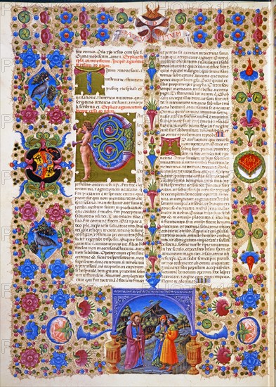 Crivelli, Lettre de saint Paul à Tite.