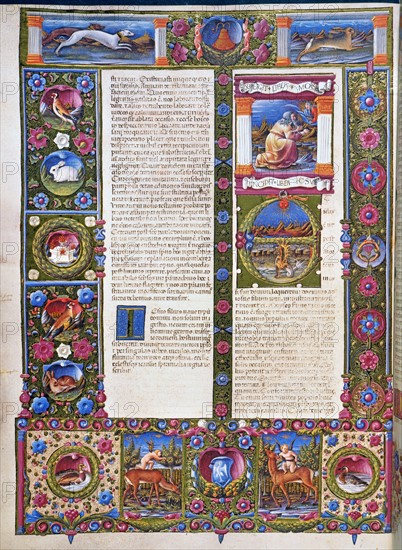 Crivelli, Histoires de Joseph de Rinaldeschi.