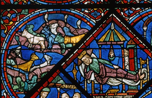 Vitrail de la cathédrale Notre-Dame de Chartres