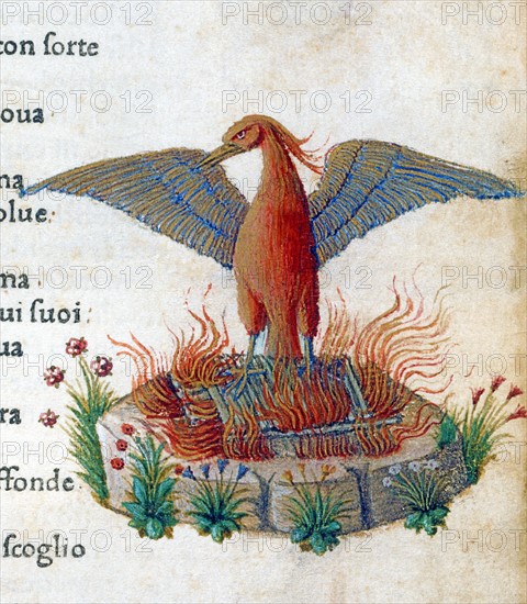 Illustration des "Canzoniere e Trionfi" de Pétrarque