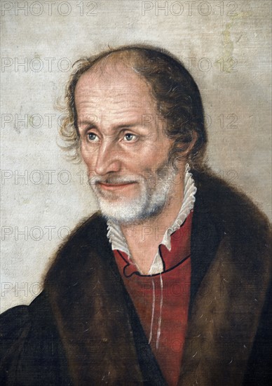 Cranach the Younger, Portrait of Philippe Melanchthon (detail)
