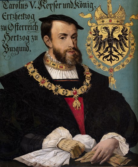 Portrait of Charles V