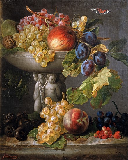 Francesco Malacrea, Fruits