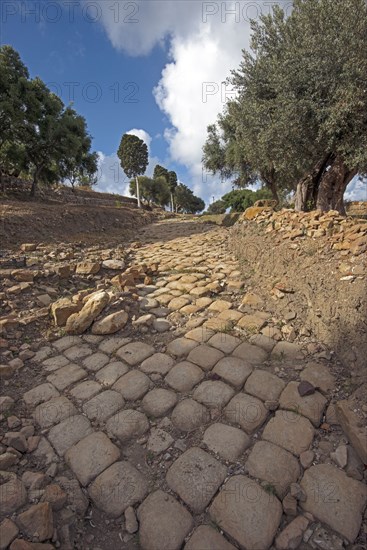 Site archéologique de Halaesa Arconidea (Sicile)