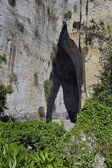 Parc archéologique de la Neapolis à Syracuse (Sicile)