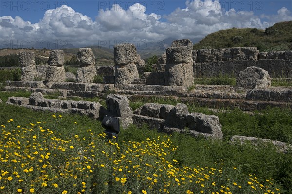 Site archéologique de Himera (Sicile)