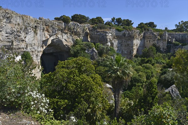 Parc archéologique de la Neapolis à Syracuse (Sicile)