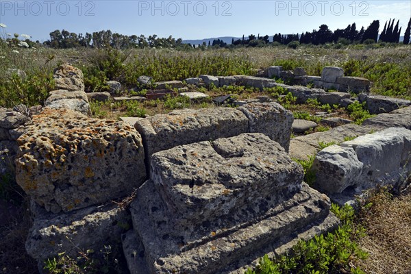 Site archéologique de Megara Hyblaea (Sicile)