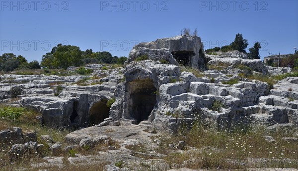 Parc archéologique de la Neapolis à Syracuse (Sicile)